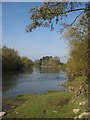 SO5536 : River Wye upstream by Pauline E