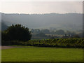 View from Bignor Roman Villa car park