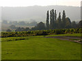 View from Bignor Roman Villa car park