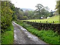 The lane to Middlegill