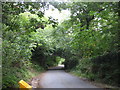 Approaching the Baron Hill bridge on Allt Goch Bach from the direction of Pen-y-parc