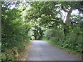 The lower Llandegfan road west of Llyn Pen-y-parc