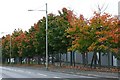 Autumn in Merthyr Tydfil