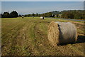 Hay bales on Rhydd Green