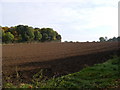 TM3761 : Farmland near Kiln Lane by Geographer