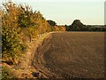 A ploughed field, viewed from Brook Street