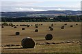 Bales, Leitfie, near Alyth