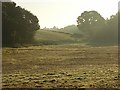SU7579 : Farmland, Binfield Heath by Andrew Smith