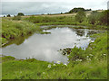 Blackmoor Pond