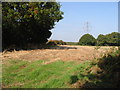 Field near Blaxland Farm