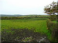 Pasture land north-west of the A476