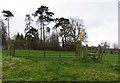 Gate and stile