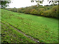 Upper valley of the Afon Cywyn