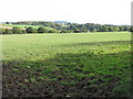 Frome valley from Great Wacton Farm