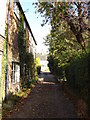 Rectory Avenue, Wollaton