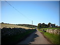 Road to steading near St. Mary