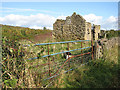 Tumbledown barn, Drybrook