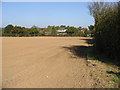 Looking N along field boundary towards Calcott