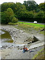 Angling by the stream outflow