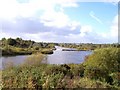 SJ6588 : Weir on River Mersey at Woolston by Raymond Knapman
