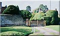 Exuberant hedges at Cranmore House