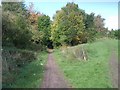 Disused Railway Path