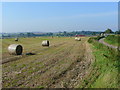 Stubble and bales