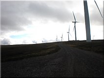 NH7329 : Wind Turbines 305, 304,303 etc. by Sarah McGuire