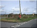 Road junction, mailbox and sheep