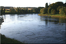 NO1537 : River Tay at Kinclaven by Mike Pennington