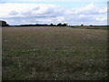 SU6295 : Field  by Hares Leap by Shaun Ferguson