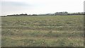 Hay field near Ty