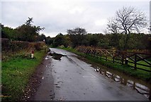 NZ3443 : Road passing Hastings House farm by Roger Smith