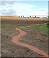 SK6546 : Grain trail by Alan Murray-Rust