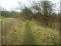 TM3490 : Trackbed of the former Waveney valley railway by Ashley Dace