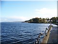 NS1780 : Looking down the Holy Loch from Lazaretto Point by Elliott Simpson