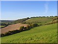 Countryside below Bledlow Ridge