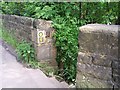 This Way To The Water Wheel, Loxley Valley