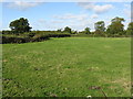 SO9251 : Grassland near White Ladies Aston by Peter Whatley
