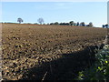 SU5475 : Ploughed field by Shaun Ferguson