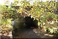 Bridge over Chinnock Brook.  West Chinnock