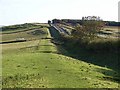 NY8671 : Hadrian's Wall National Trail east of Brocolitia by Oliver Dixon