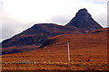 NC0711 : Looking towards Stac Pollaidh by Donald H Bain