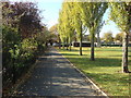 Footpath, Kensington Memorial Park