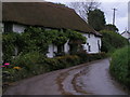 Berrysbridge cottages