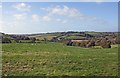 Fields near Caerlleon, Llanwinio