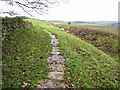 NY8170 : Roman ditch at the site of Milecastle 34 on Hadrian's Wall by Oliver Dixon