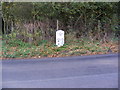 TM2951 : Milepost on B1438 Yarmouth Road by Geographer