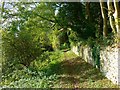 West along a footpath, Rack Hill, Chalford