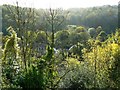 South across the Frome valley, Chalford